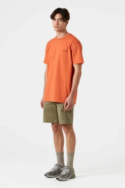 Fruits Plain Orange | Edmmond Studios New